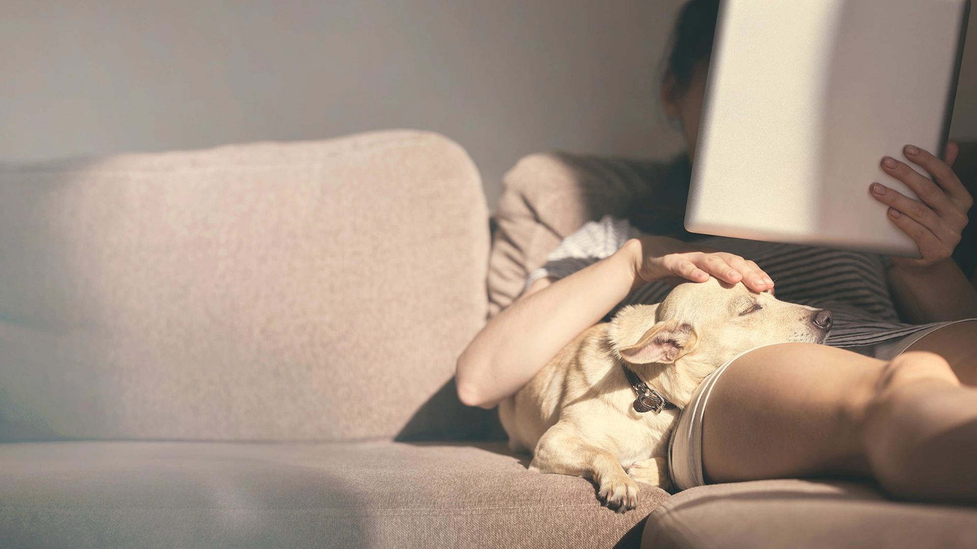 Frau und Hund entspannen am Sofa