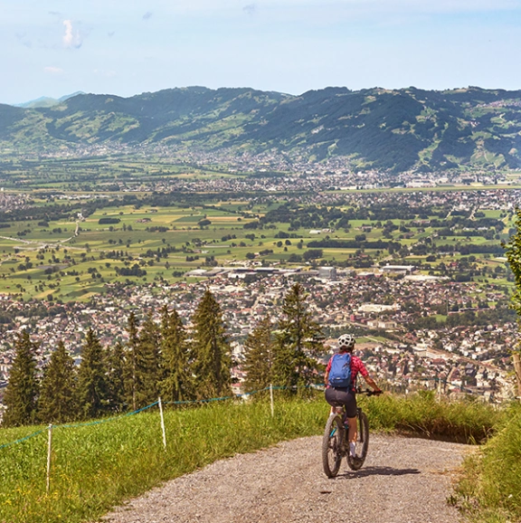 Dornbirn Visualisierung Natur