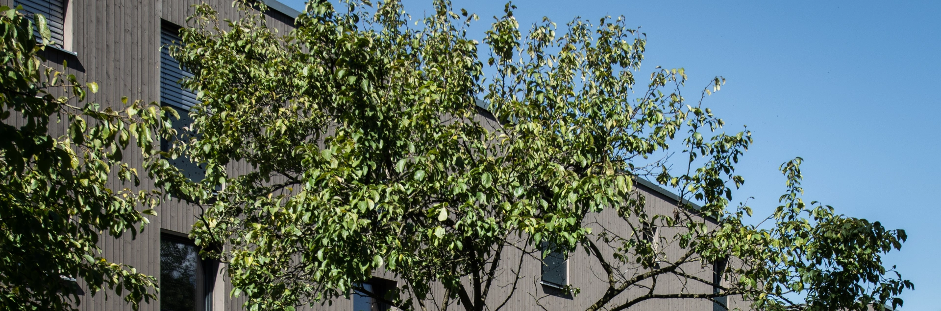 Vorarlberg Marienstraße