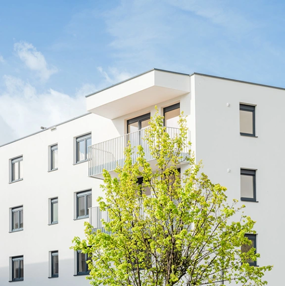 Fassade von Projekt Untermarktstraße mit großem Baum davor