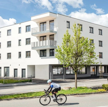 Frontansicht Projekt Untermarktstraße mit großem Baum und Radfahrer davor